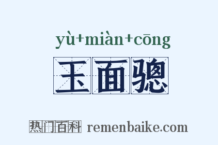 玉面骢是什么意思的图片